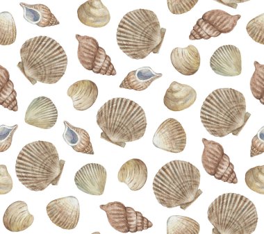Deniz kabukları ile klasik, dikişsiz desen. Suluboya resim. 