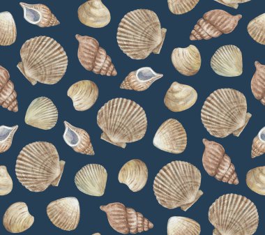Deniz kabukları ile klasik, dikişsiz desen. Suluboya resim. 