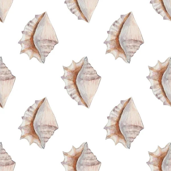 Delicate regular seamless pattern with realistic watercolor sea conchs on pastel background. — Foto Stock