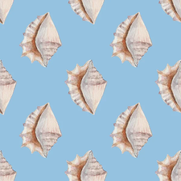 Delicate regular seamless pattern with realistic watercolor sea conchs on pastel background. — Stock Photo, Image