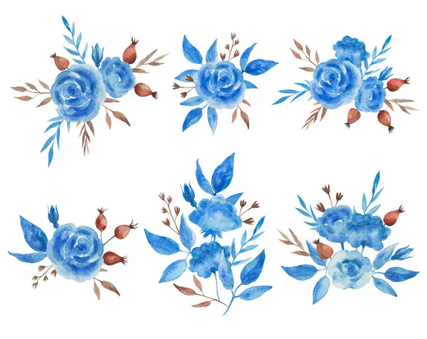 Ensemble aquarelle de compositions décoratives avec des fleurs de rose bleue, des feuilles et des baies de rose. — Photo