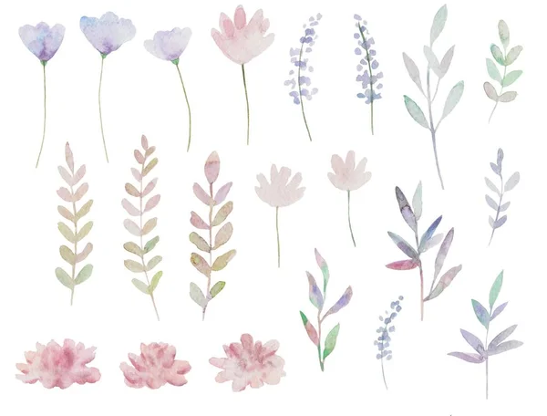 Cute różowy akwarela roślin i kwiatów. Zestaw ręcznie malowanych elementów na białym tle. — Zdjęcie stockowe