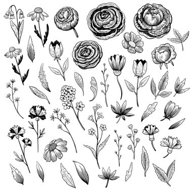 El çizimi çiçekler, dallar ve yapraklar siyah beyaz mürekkep oymacılığı tarzında..