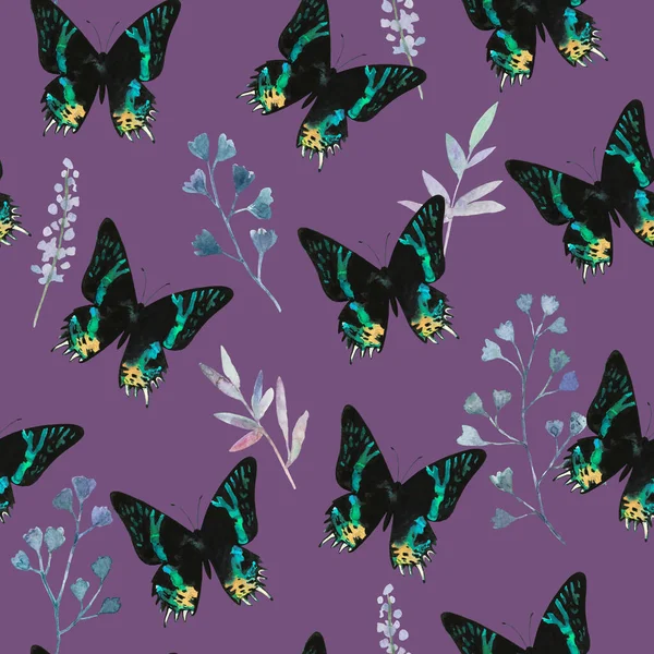 Niedliches, nahtloses Muster mit bunten Schmetterlingen und Pflanzenelementen. Aquarellillustrationen. — Stockfoto