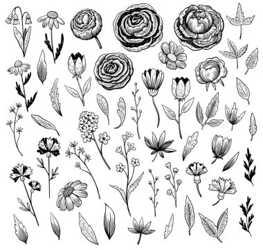 El çizimi çiçekler, dallar ve yapraklar siyah beyaz mürekkep oymacılığı tarzında..