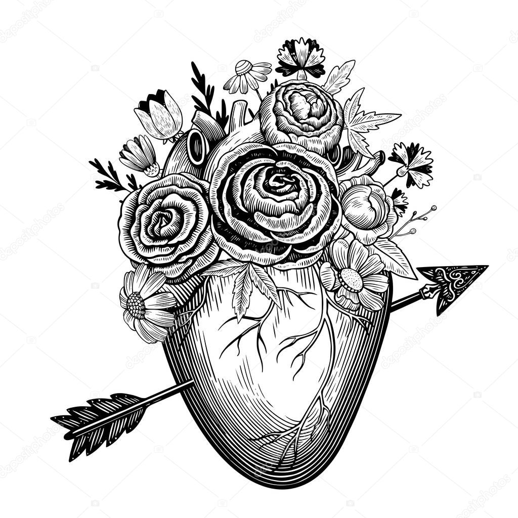 Vintage illustration of heart pierced by an arrow in engraving style with retro flowers. Black and white vector drawing.