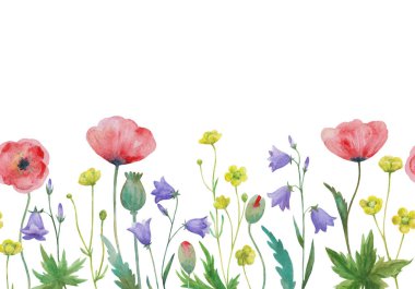 Çayırdaki yabani çiçeklerle kusursuz suluboya kenarı.