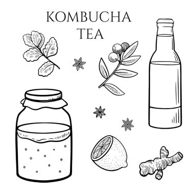 Set of kombucha mushroom in container, bottle with tea drink, ginger, mint, lemon and other spices.