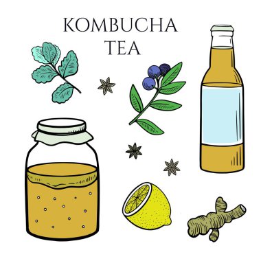 Set of kombucha mushroom in container, bottle with tea drink, ginger, mint, lemon and other spices.