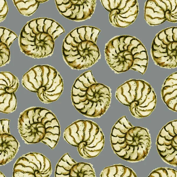 Υδατογραφία αδιάλειπτη μοτίβο με ammonites ορυκτά κελύφη. — Φωτογραφία Αρχείου