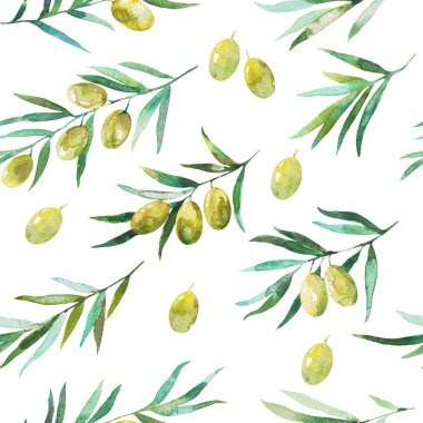 Zeytin dalları ve zeytinlerle kusursuz desen. Suluboya el çizimi