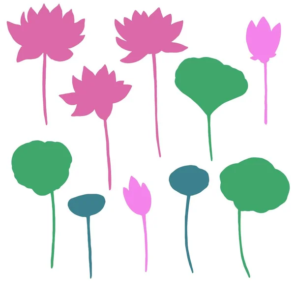 Uppsättning silhuetter av lotusblommor, blad och knoppar. Rosa och grön illustration. — Stock vektor