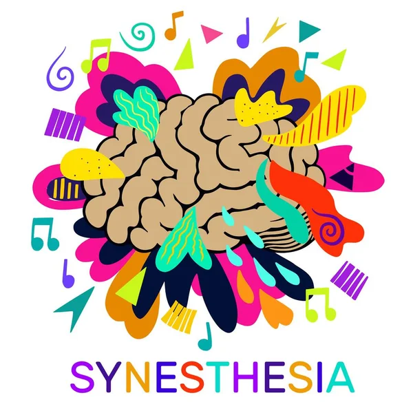 Synesthesia. Bright concept of human brain, notes and colorful psychedelic shapes. — Stock Vector