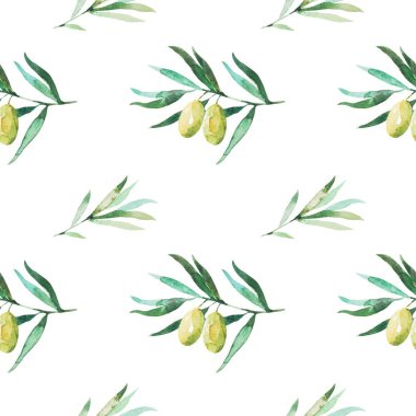 Zeytin dalları ve zeytinlerle kusursuz desen. Suluboya el çizimi