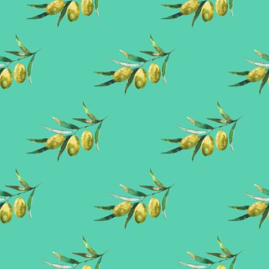 Zeytin dalları ve zeytinlerle kusursuz desen. Suluboya el çizimi
