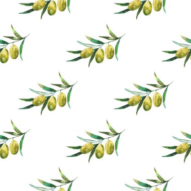 Zeytin dalları ve zeytinlerle kusursuz desen. Suluboya el çizimi