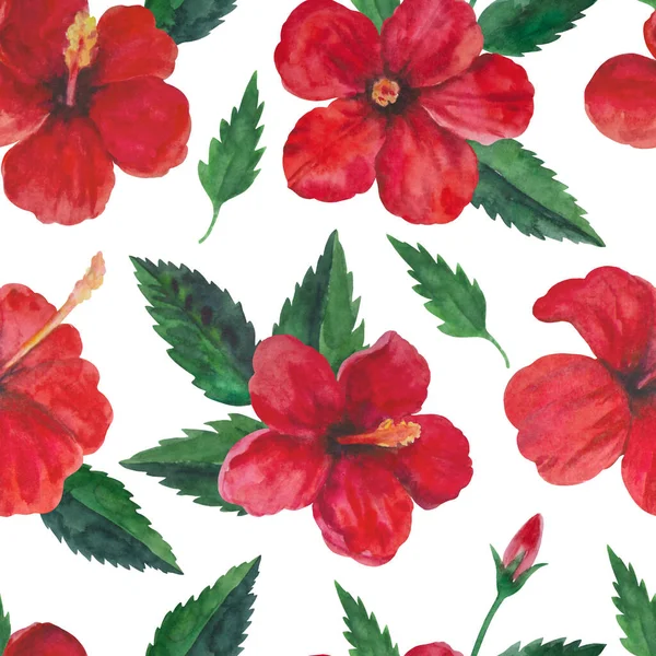 Tropisch naadloos patroon met rode hibiscus bloemen en bladeren. Aquarelillustratie. — Stockfoto