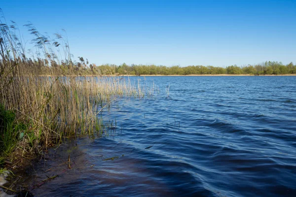 Spring lake horizontal landscape with blue clear sky.