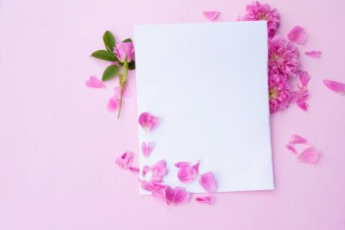Pembe pastel arka planda ve pembe gül çiçeklerinde boş kağıt maketi. Üst görünüm 