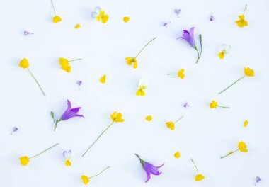 Beyaz arka planda sarı düğün çiçeği ve çan çiçekleri olan orijinal bir düzen. Düz yatıyordu. Üst görünüm.