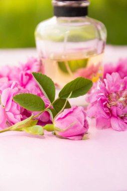 Pastel pembe arka planda parlak pembe gül çiçekleri olan bir şişe parfüm.