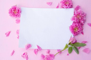 Pembe pastel arka planda ve pembe gül çiçeklerinde boş kağıt maketi. Üst görünüm 