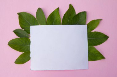 Pembe pastel arka planda ve pembe gül çiçeklerinde boş kağıt maketi. Üst görünüm 