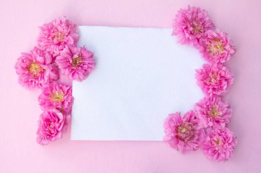 Pembe pastel arka planda ve pembe gül çiçeklerinde boş kağıt maketi. Üst görünüm 