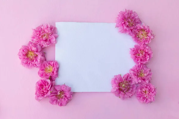 Blanco papieren kaart mockup op roze pastel achtergrond en delicate roze roos bloemen. Bovenaanzicht — Stockfoto