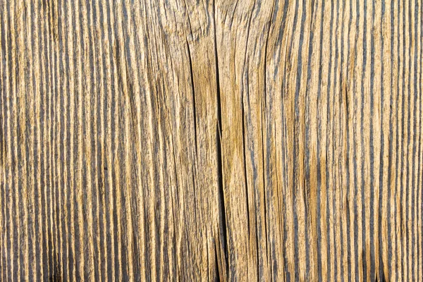 Close up of wooden background with natural detailed surface texture. — Stock Photo, Image