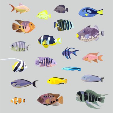 Big set of isolated realistic tropical sea coral aquarium fishes.