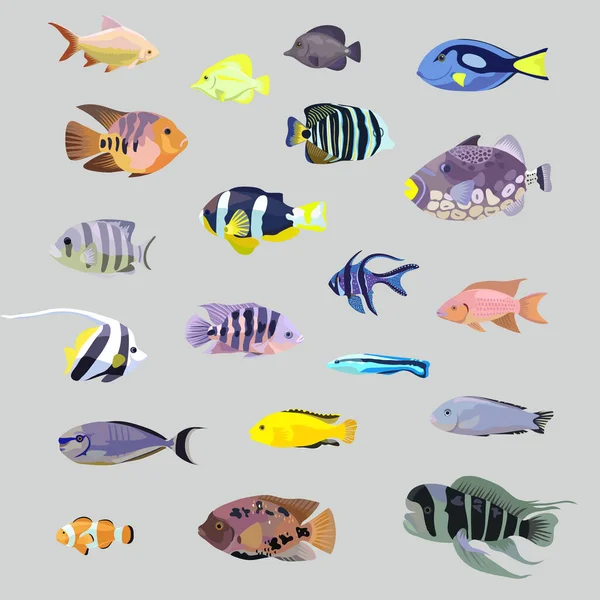 Big set of isolated realistic tropical sea coral aquarium fishes.