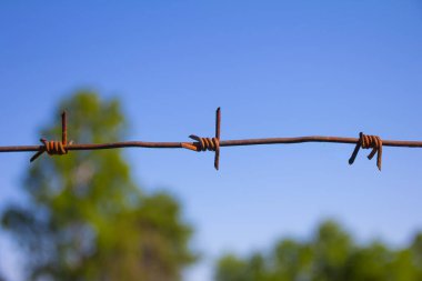 Mavi gökyüzü arka planında dikenli tel. Kapat.. 