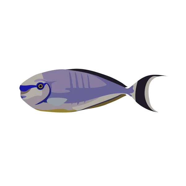Ilustraciones de dibujos animados de peces cirujano aislados sobre fondo blanco. — Vector de stock