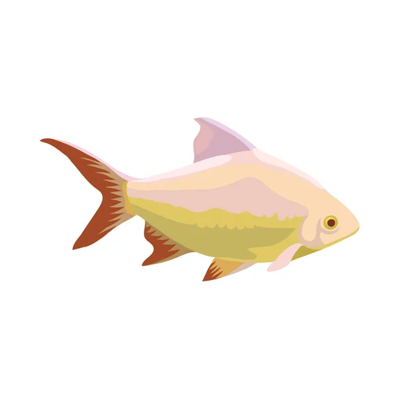 Ilustraciones de dibujos animados de peces tropicales aislados sobre fondo blanco. — Vector de stock