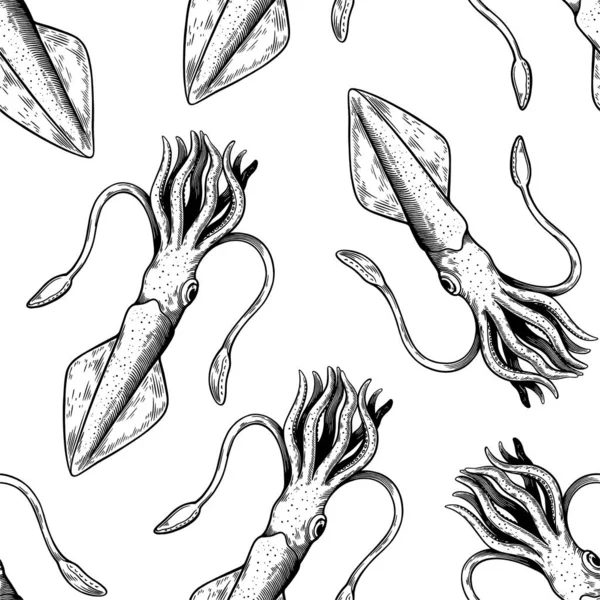 Modèle sans couture avec des mollusques calmars. Illustration dans le style vintage line art. — Image vectorielle