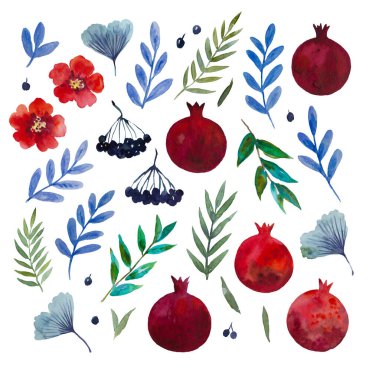 Nar, yakut çiçeği, yaşlı böğürtlen ve ginkgo yapraklarının suluboya tasarım elementleri.