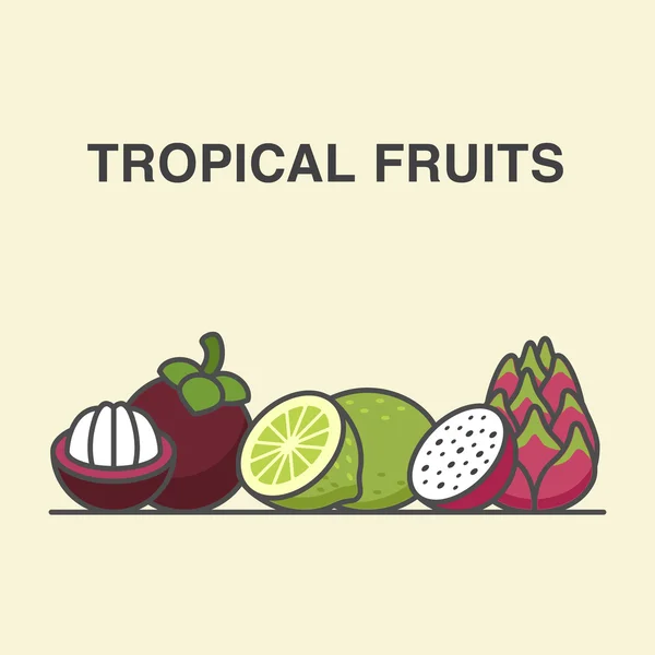 Mangostan, Limette und Drachenfrucht. — Stockvektor