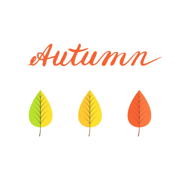 Colorful leaves word "Autumn". — Stock Vector