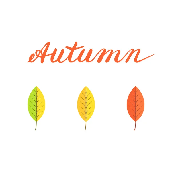 Feuilles et lettrage dessiné à la main "Automne " — Image vectorielle