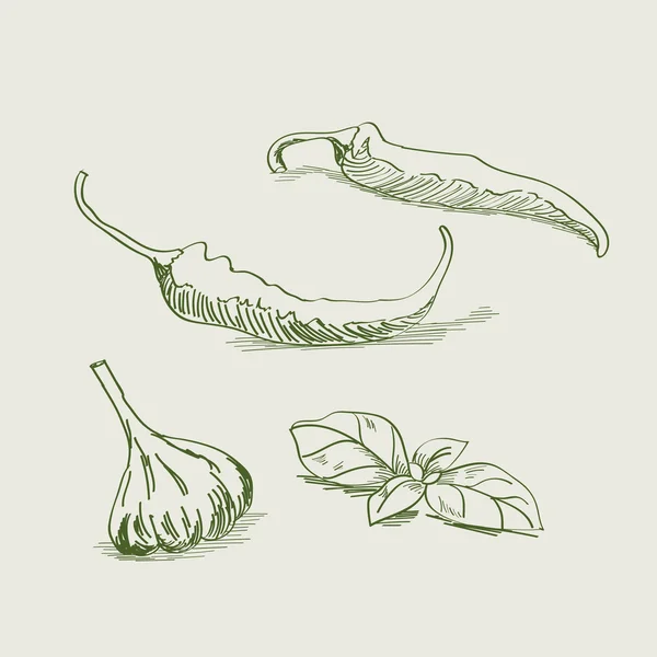 Vintage tekening van paprika's, knoflook en basilicum bladeren. — Stockvector