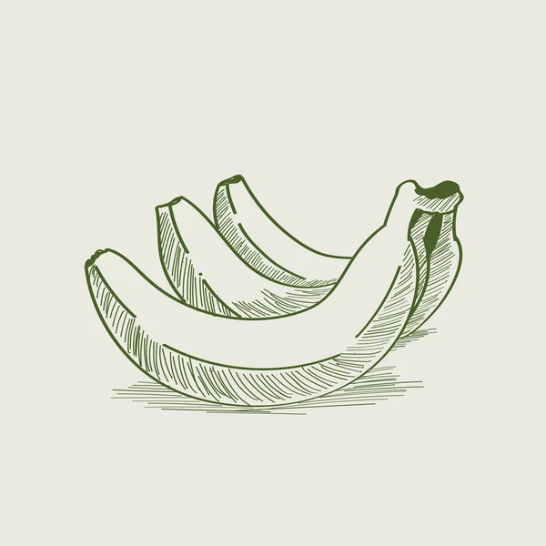 Vintage banane buchet — Vector de stoc