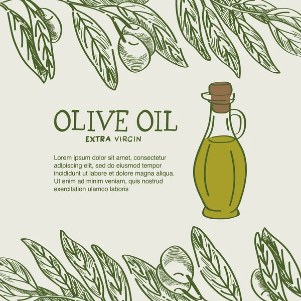 Diseño de etiquetas para aceite de oliva vol.2 . — Vector de stock