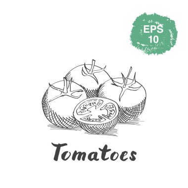 Domates mürekkep kroki 