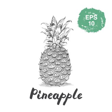 Ananas mürekkep kroki