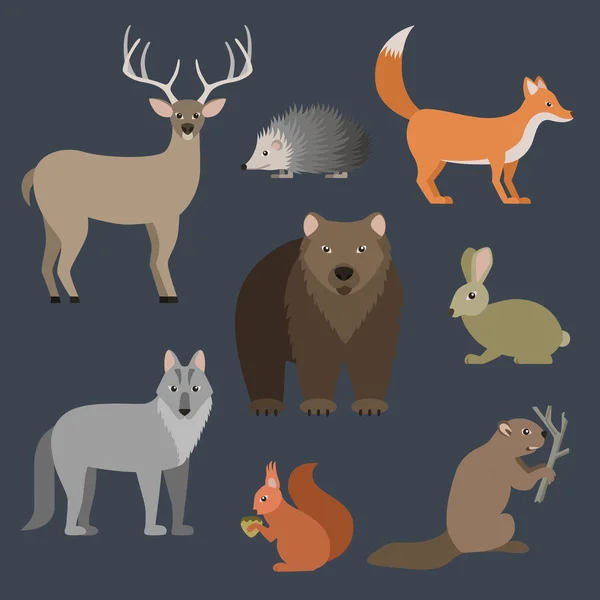 Forest animals illustration. — Stock Vector
