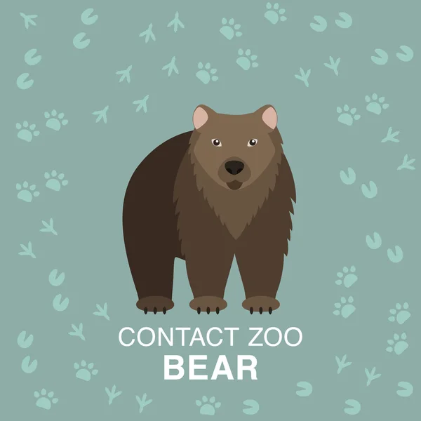 Brown bear illustration for contact zoo concept. — Stock Vector