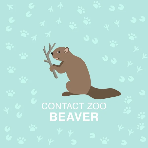 Ilustración plana de castor para el concepto de zoológico de contacto . — Vector de stock