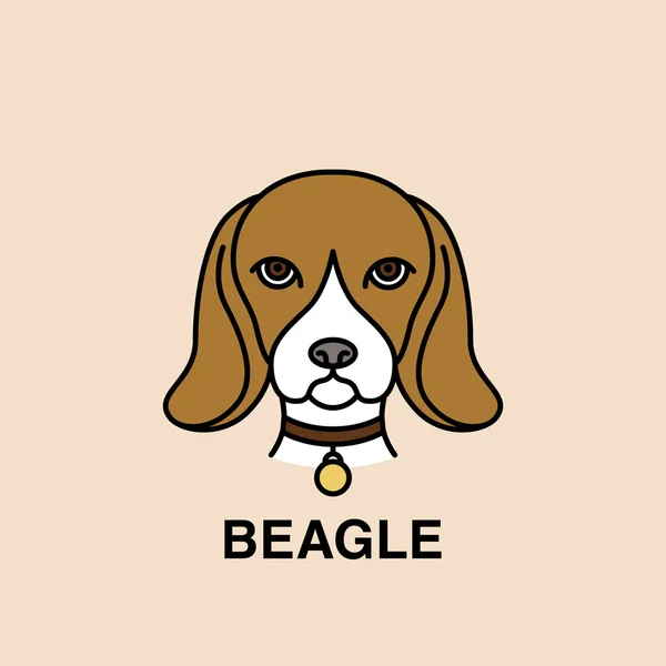 Obrázek vektoru Beagle Head. — Stockový vektor