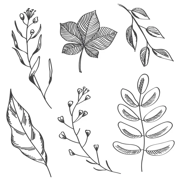 Hojas y ramas simples boceto dibujado a mano . — Vector de stock